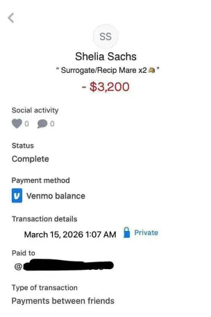 Venmo Løgs